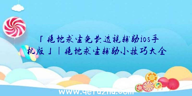 「绝地求生免费透视辅助ios手机版」|绝地求生辅助小技巧大全